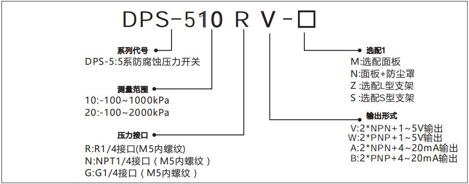 DPS-5數顯壓力傳感器型號說明